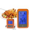 TS-TP20 Wireless Touch Screen Kitchen Thermometer BBQ Food Monitors 2 Probes