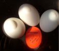 Heat Sensitive Hard &amp; Soft Boiled Egg Timer Color Changing Indicator