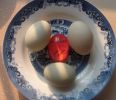 Heat Sensitive Hard &amp; Soft Boiled Egg Timer Color Changing Indicator